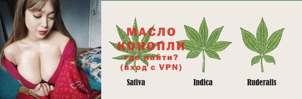 твердый Горняк