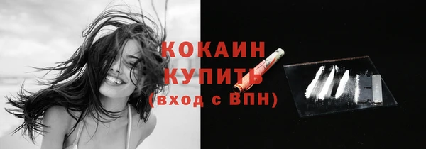 твердый Горняк