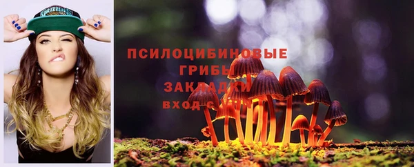 jwh Горно-Алтайск