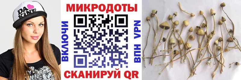 Псилоцибиновые грибы Psilocybine cubensis  Инта 